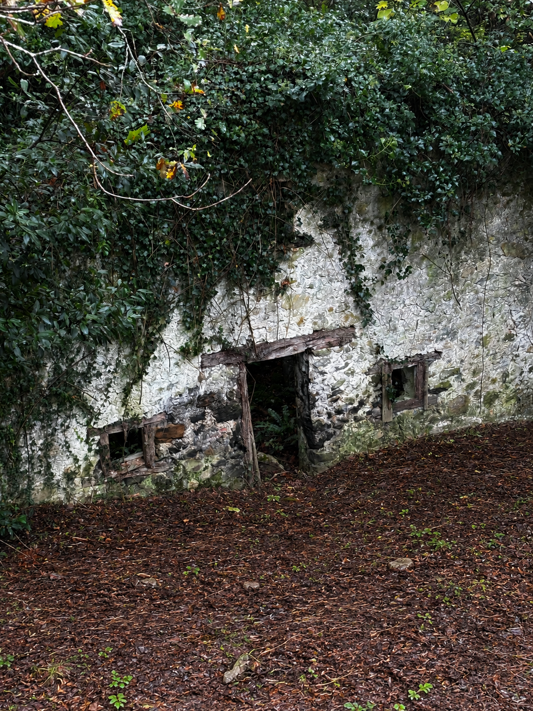 Ruins of the old mill by the stream
